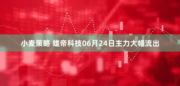 小麦策略 雄帝科技06月24日主力大幅流出