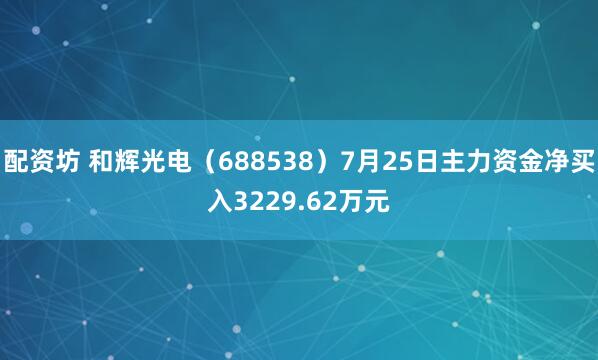 配资坊 和辉光电（688538）7月25日主力资金净买入3229.62万元
