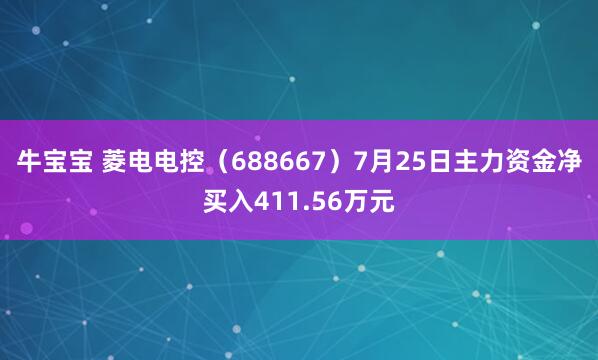 牛宝宝 菱电电控（688667）7月25日主力资金净买入411.56万元