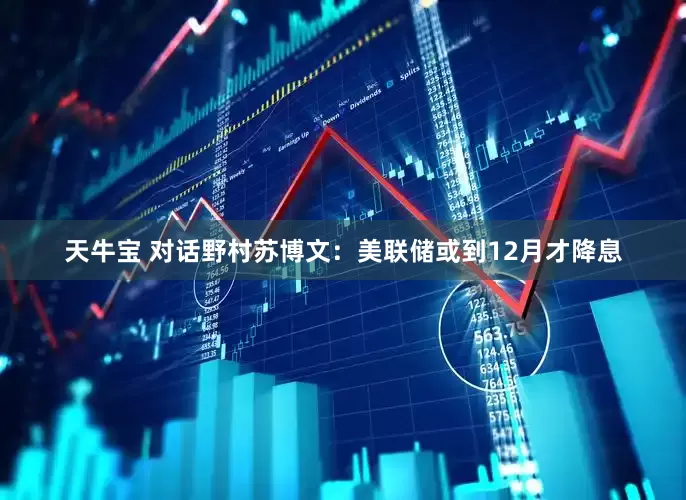 天牛宝 对话野村苏博文：美联储或到12月才降息