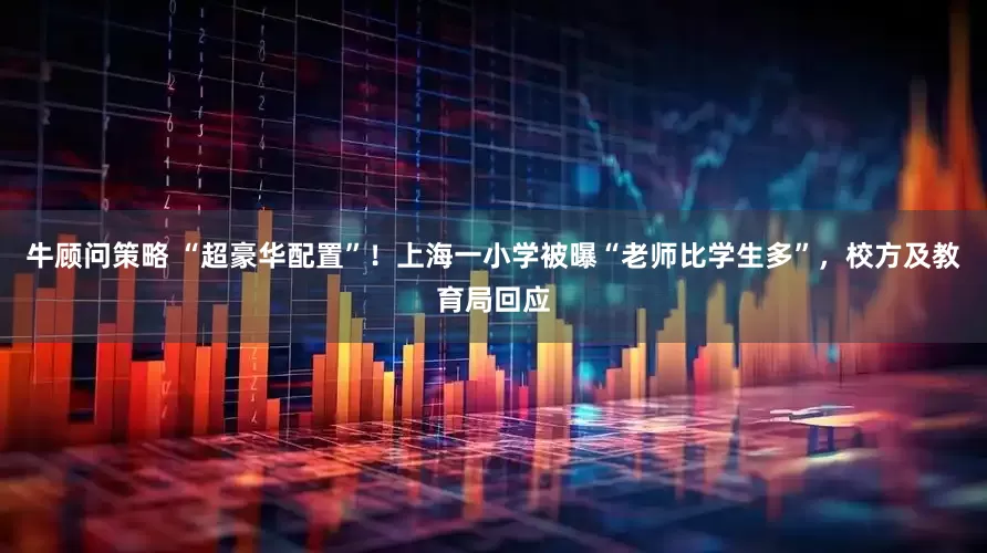 牛顾问策略 “超豪华配置”！上海一小学被曝“老师比学生多”，校方及教育局回应