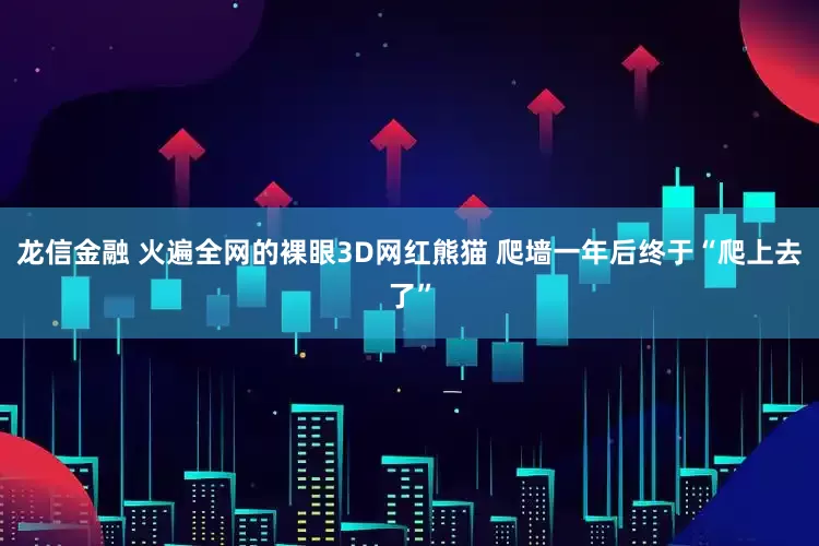 龙信金融 火遍全网的裸眼3D网红熊猫 爬墙一年后终于“爬上去了”